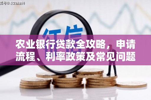 宝应县农业银行贷款全攻略，申请流程、利率政策及常见问题解析
