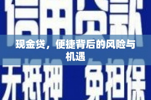 宝应县现金贷，便捷背后的风险与机遇