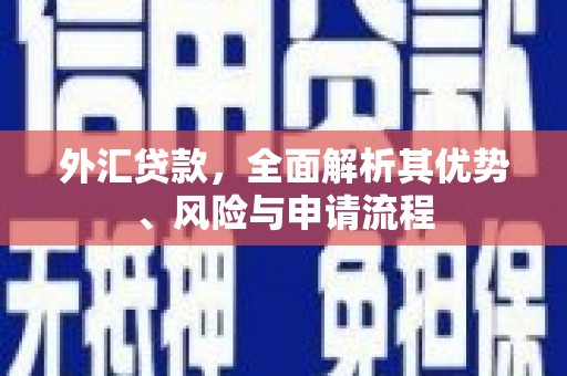 宝应县外汇贷款，全面解析其优势、风险与申请流程