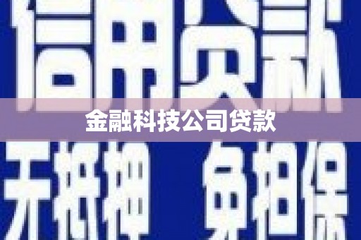 宝应县金融科技公司贷款