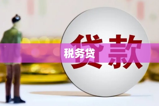 宝应县税务贷