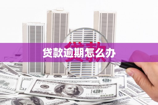 宝应县贷款逾期怎么办