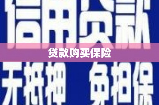 宝应县贷款购买保险