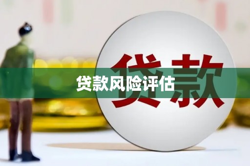 宝应县贷款风险评估