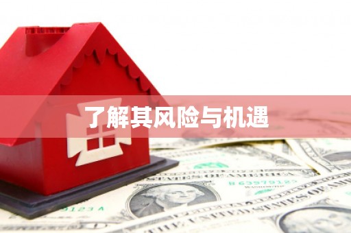 宝应县了解其风险与机遇