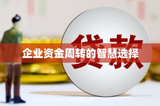 宝应县企业资金周转的智慧选择