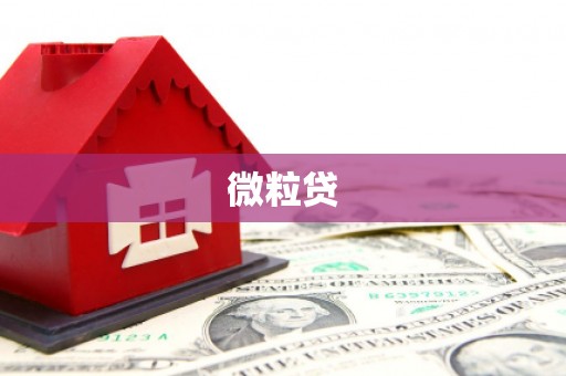 宝应县微粒贷