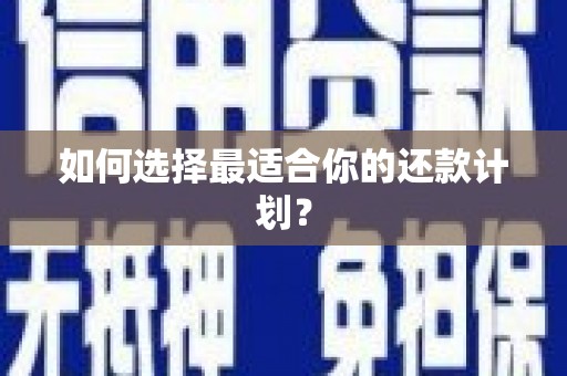 宝应县如何选择最适合你的还款计划？