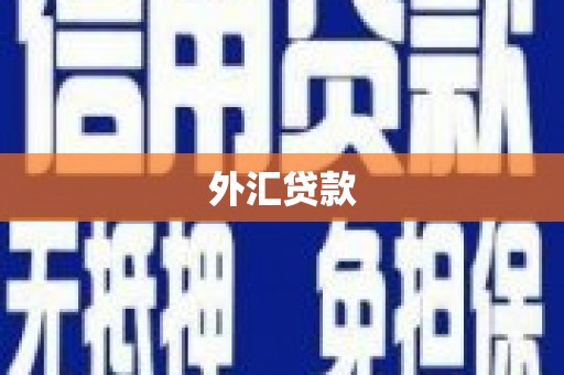 宝应县外汇贷款