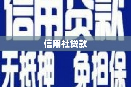 宝应县信用社贷款