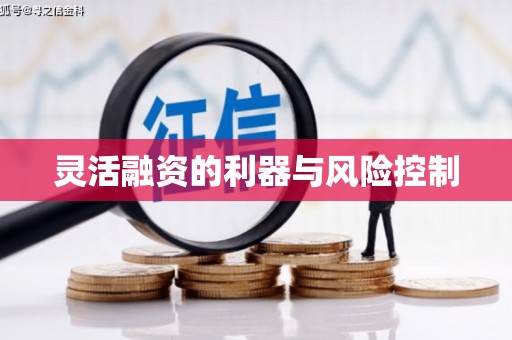 宝应县灵活融资的利器与风险控制