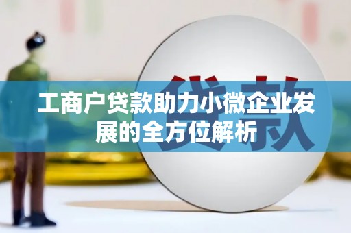 宝应县工商户贷款助力小微企业发展的全方位解析