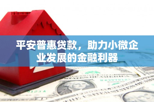 宝应县平安普惠贷款，助力小微企业发展的金融利器