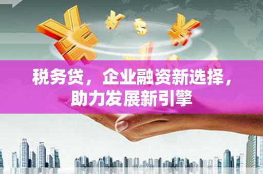 宝应县税务贷，企业融资新选择，助力发展新引擎