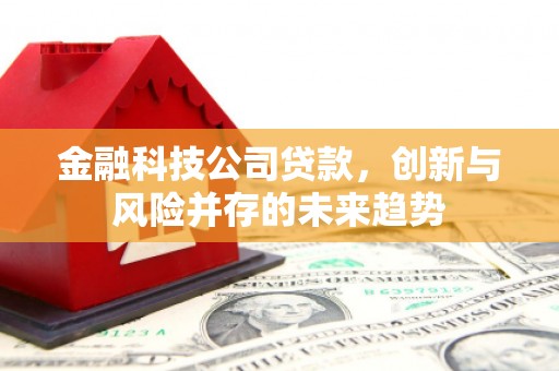 宝应县金融科技公司贷款，创新与风险并存的未来趋势