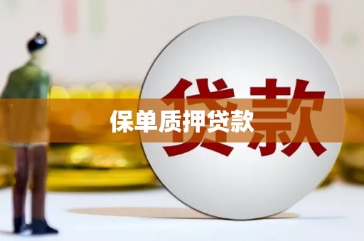 宝应县保单质押贷款