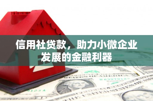 宝应县信用社贷款，助力小微企业发展的金融利器