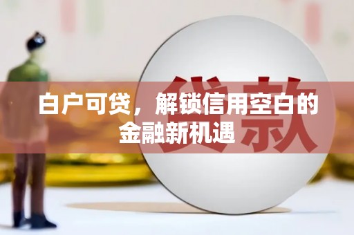 宝应县白户可贷，解锁信用空白的金融新机遇