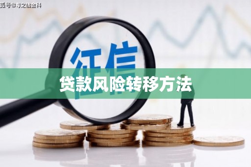 宝应县贷款风险转移方法