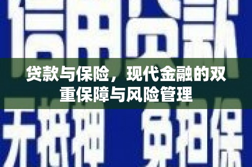 宝应县贷款与保险，现代金融的双重保障与风险管理