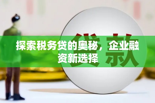 宝应县探索税务贷的奥秘，企业融资新选择
