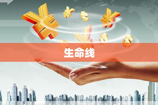 宝应县生命线
