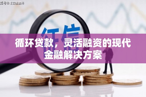 宝应县循环贷款，灵活融资的现代金融解决方案
