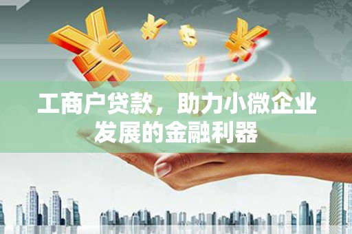 宝应县工商户贷款，助力小微企业发展的金融利器