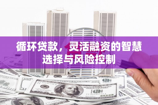 宝应县循环贷款，灵活融资的智慧选择与风险控制