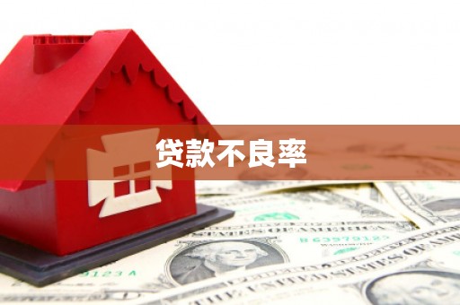 宝应县贷款不良率