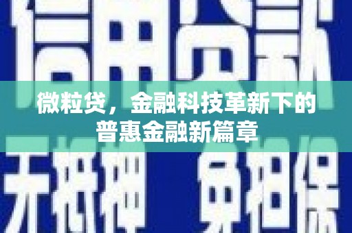 宝应县微粒贷，金融科技革新下的普惠金融新篇章
