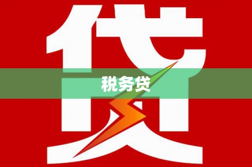 宝应县税务贷