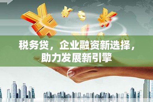 宝应县税务贷，企业融资新选择，助力发展新引擎