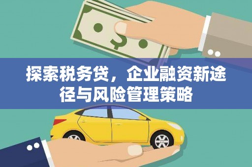 宝应县探索税务贷，企业融资新途径与风险管理策略