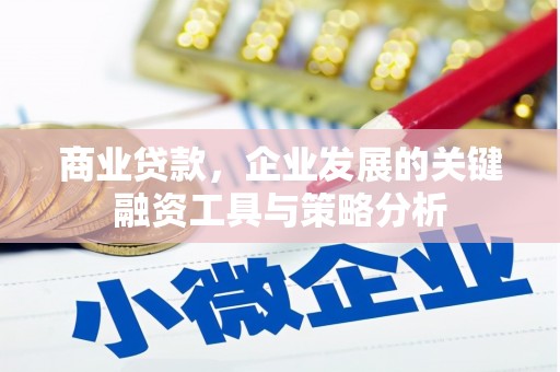 宝应县商业贷款，企业发展的关键融资工具与策略分析