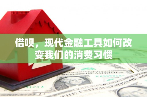 宝应县借呗，现代金融工具如何改变我们的消费习惯