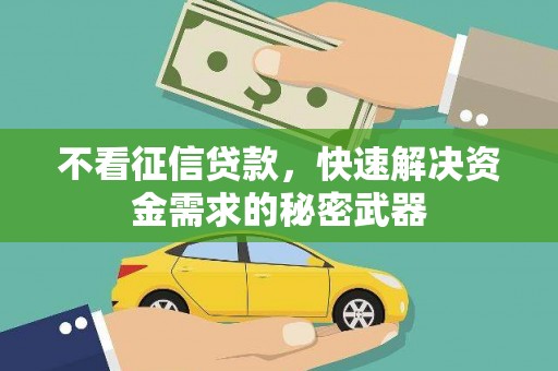 宝应县不看征信贷款，快速解决资金需求的秘密武器