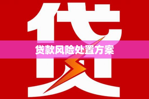 宝应县贷款风险处置方案