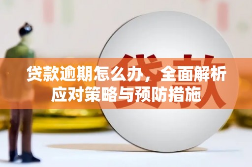 宝应县贷款逾期怎么办，全面解析应对策略与预防措施