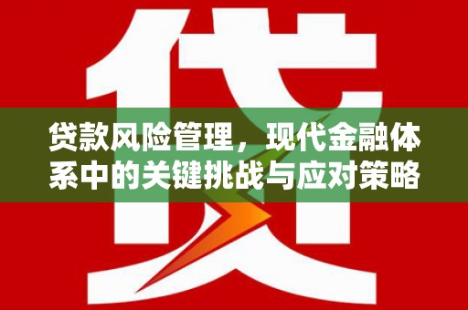 宝应县贷款风险管理，现代金融体系中的关键挑战与应对策略