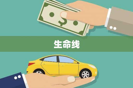 宝应县生命线
