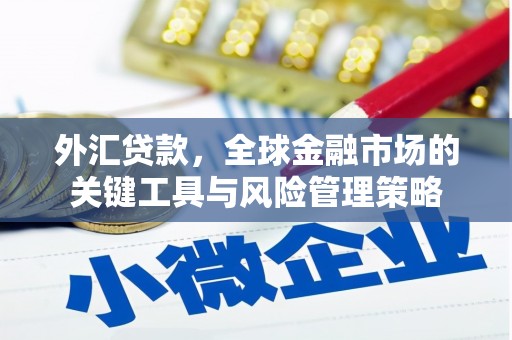 宝应县外汇贷款，全球金融市场的关键工具与风险管理策略