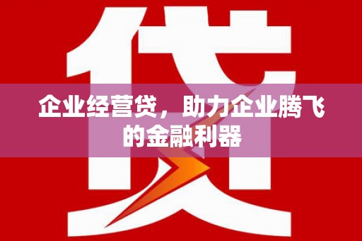 宝应县企业经营贷，助力企业腾飞的金融利器