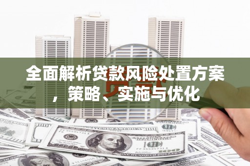 宝应县全面解析贷款风险处置方案，策略、实施与优化