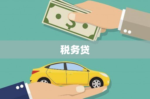 宝应县税务贷