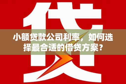 宝应县小额贷款公司利率，如何选择最合适的借贷方案？