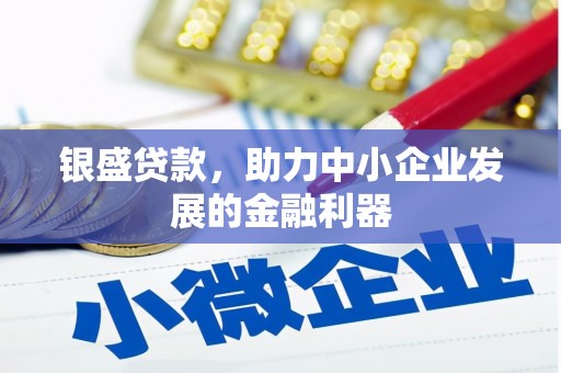 宝应县银盛贷款，助力中小企业发展的金融利器