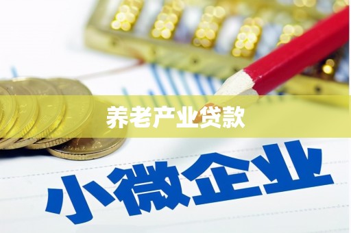 宝应县养老产业贷款