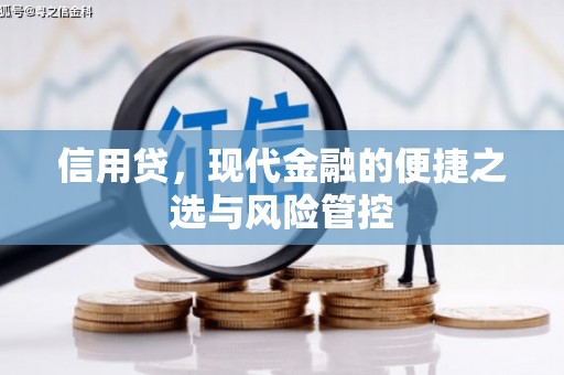 宝应县信用贷，现代金融的便捷之选与风险管控