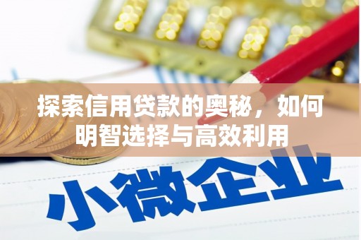 宝应县探索信用贷款的奥秘，如何明智选择与高效利用